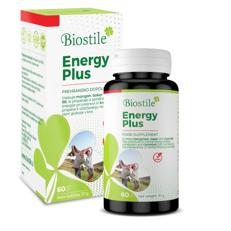 Energy Plus