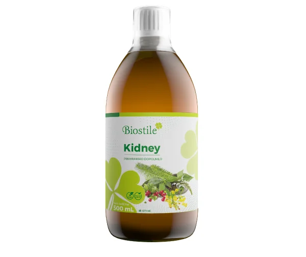 Kidney
