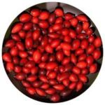 2x BMT® Q10 + Selenium MICROENCAPSULATED -20%