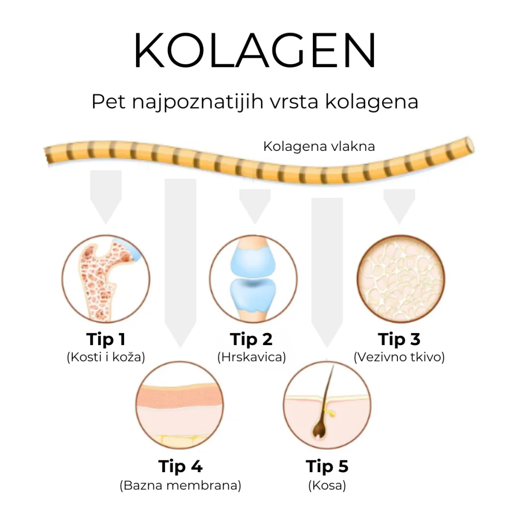 Collagen Pineapple (kolagen)