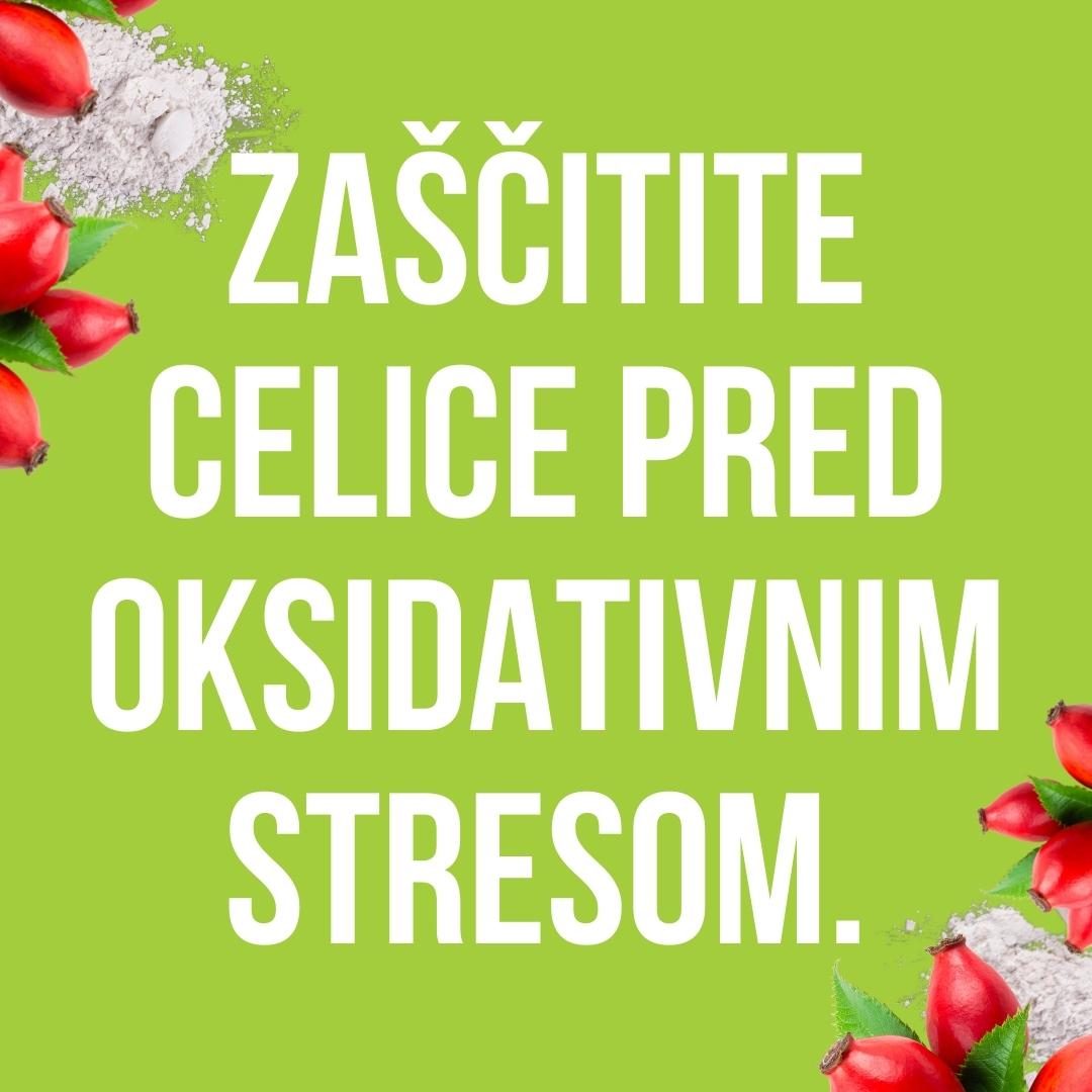 Izdelek brez naslova 34 1 jpg